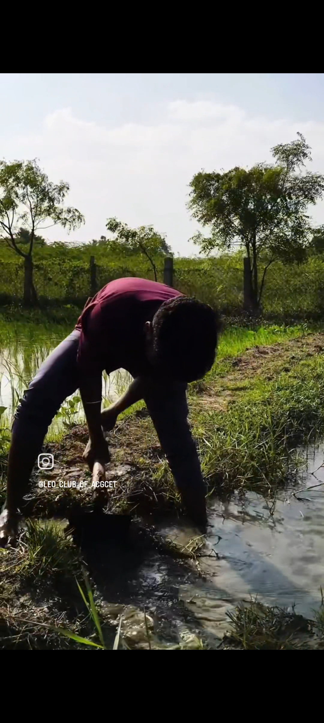 GREEN HEROS - Image 4