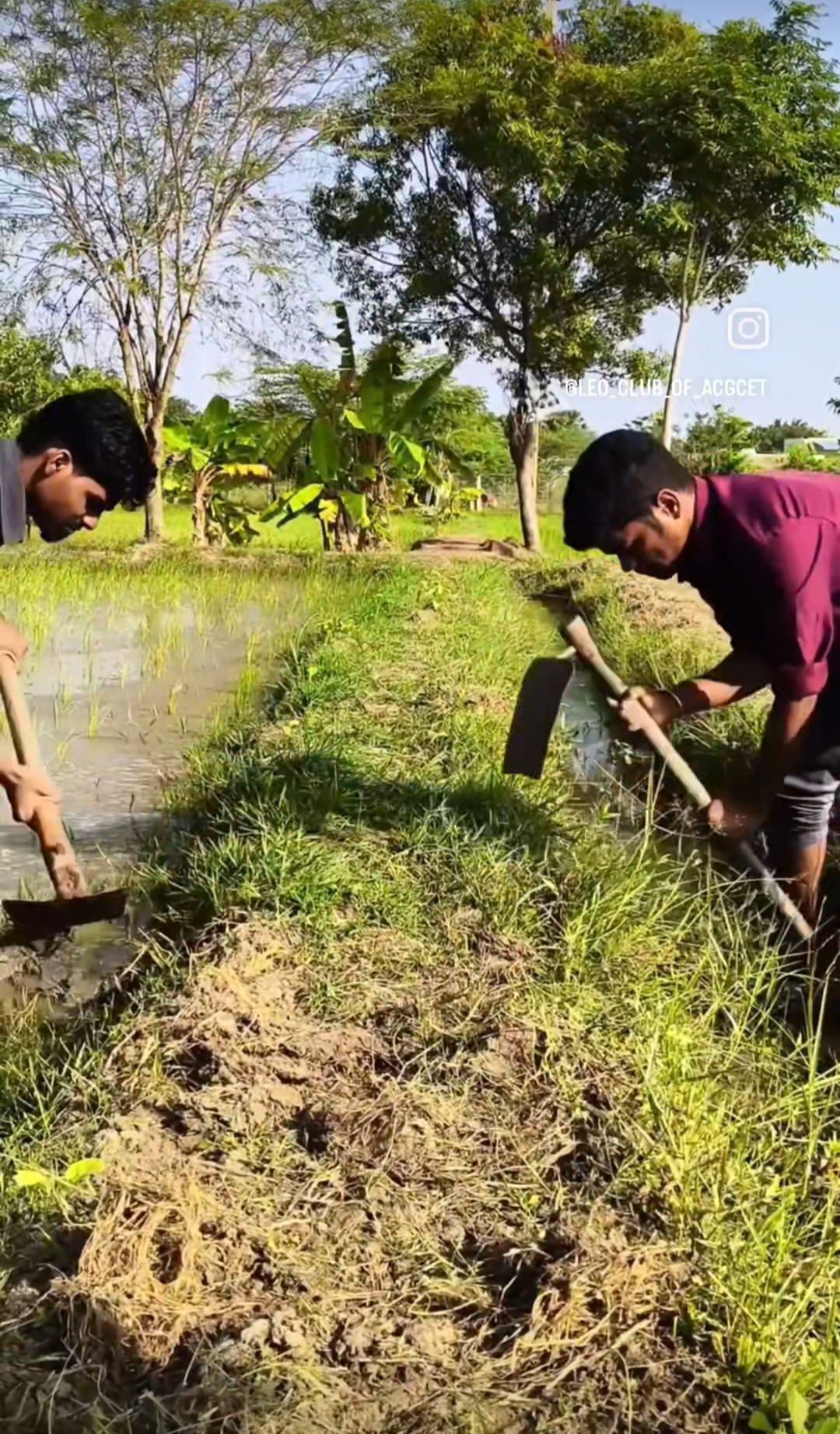 GREEN HEROS - Image 5