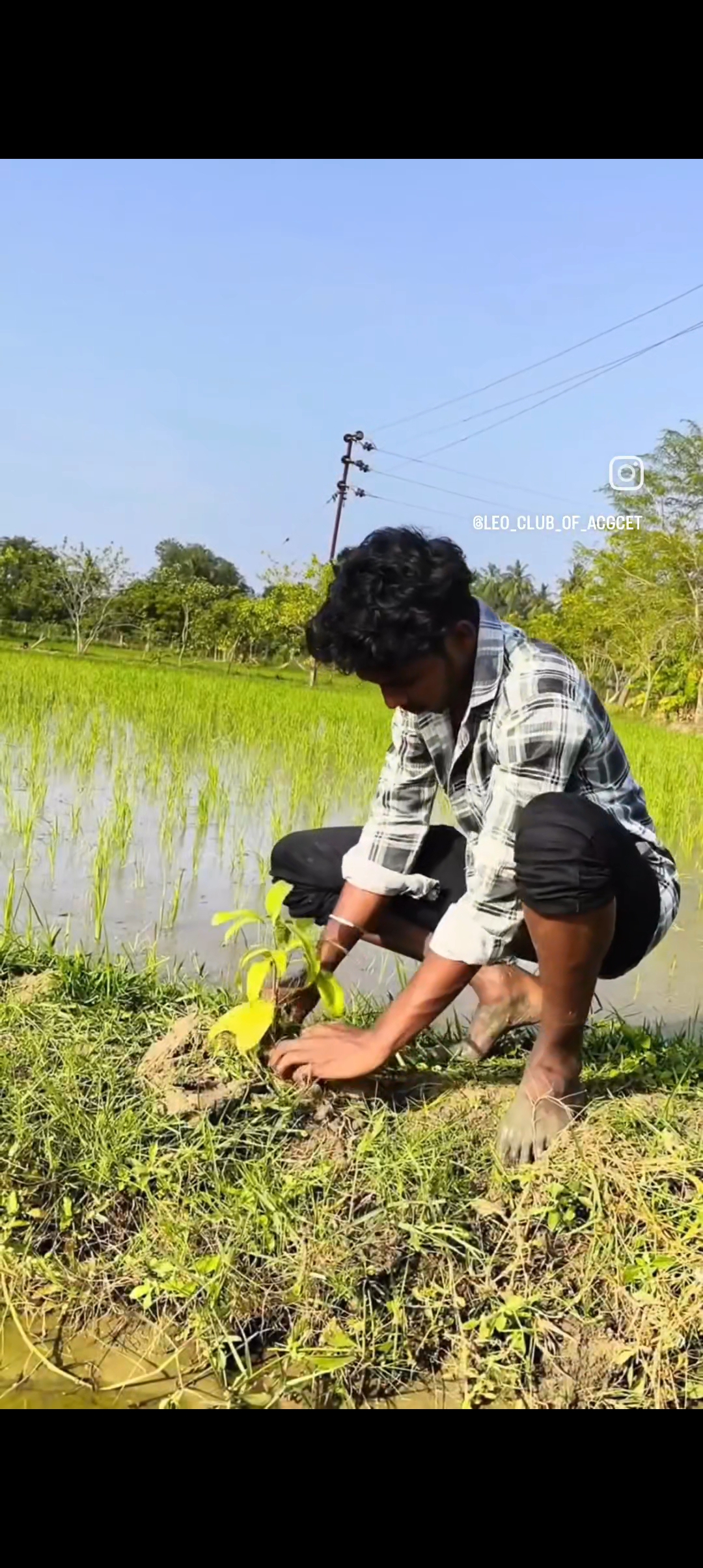 GREEN HEROS - Image 6