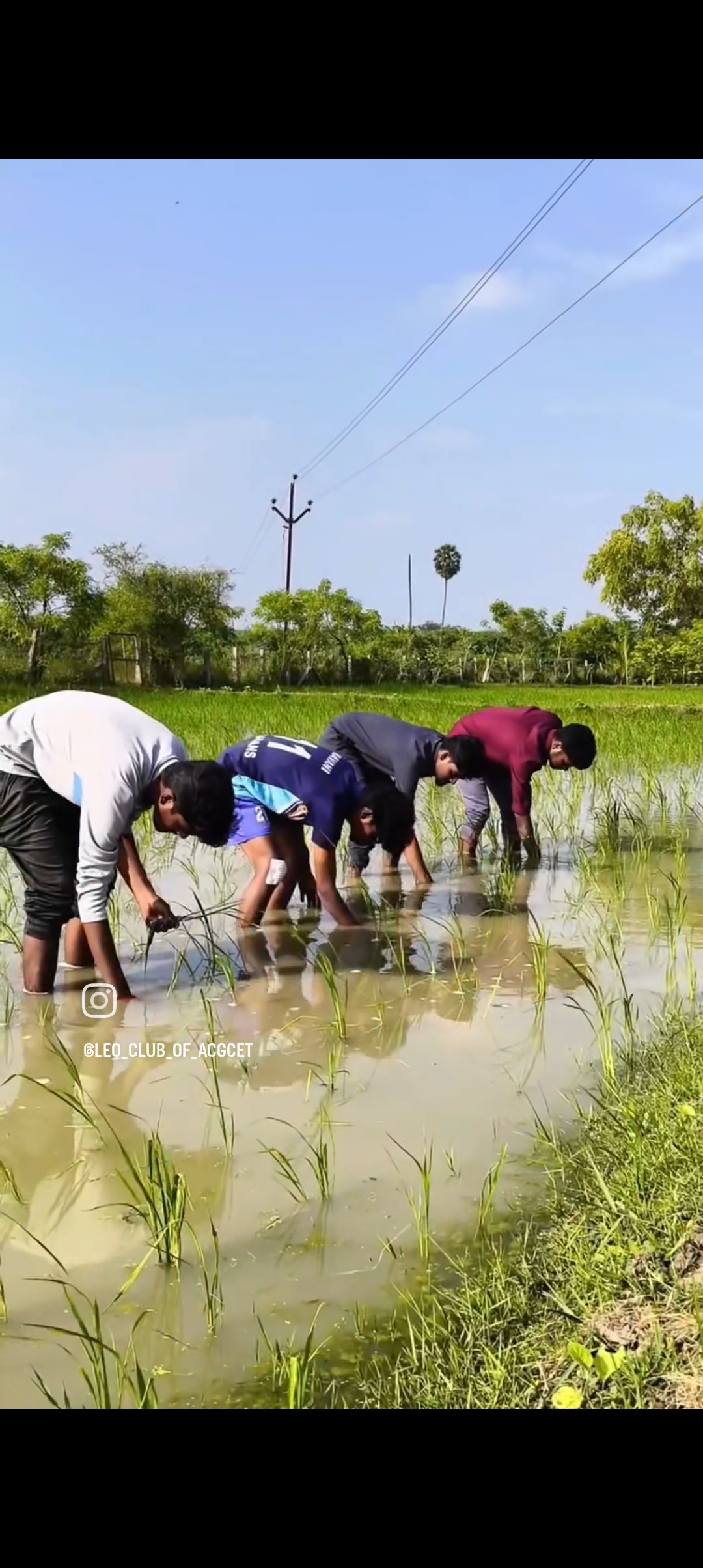 GREEN HEROS - Image 7